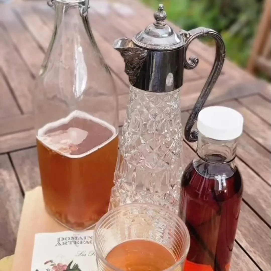 Kombucha on a table in domaine artefact